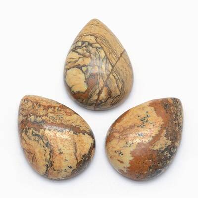 Natural Picture Jasper Cabochons