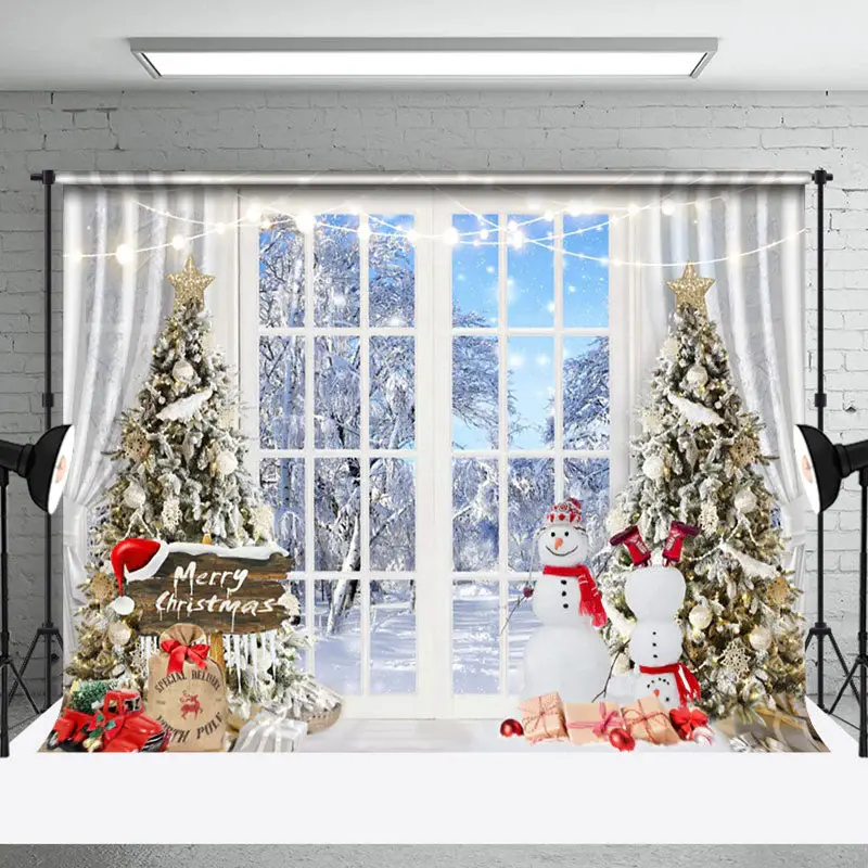 Aperturee Snowman Window White Snow World Christmas Backdrop