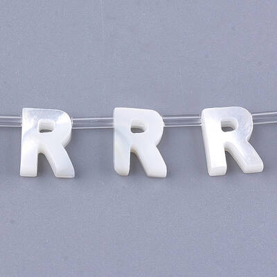 Sea Shell Beads