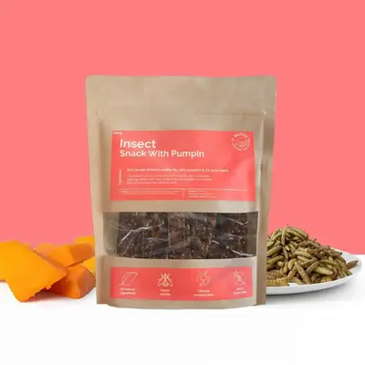 Insect Snack With Pumpkin | Välj storlek: 100g