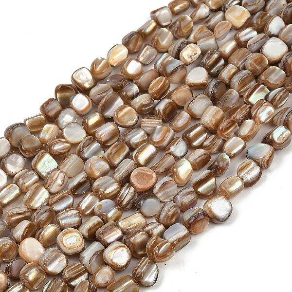 Natural Trochus Shell Beads Strands