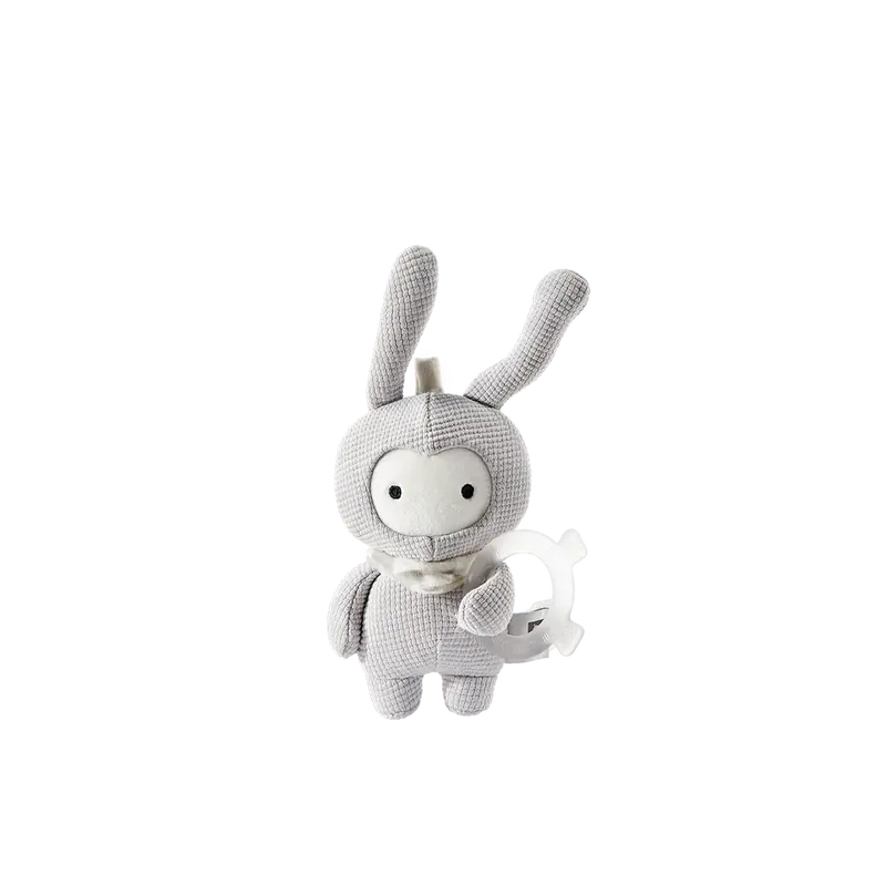 Baby Comfort Blanket & Toys