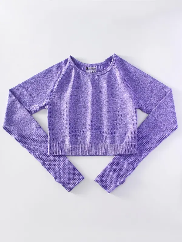 Women's Plain Round Neck Crop Sports T-shirt without Leggings, Sporty Seamless Long Sleeves Crop Top, Women Yoga Sports Fitn...