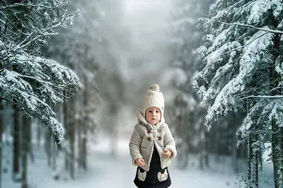 Aperturee Winter Wonderland Snowy Trees Holiday Portrait Backdrop