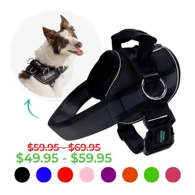 Joyride Premium Advanced Dog Harness 2.0 (Solid Colors)