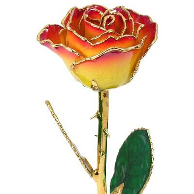 24k Gold Trimmed Rose: 11 Tequila Sunrise Rose