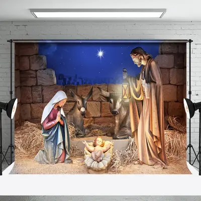 Aperturee Starry Night Bullpen Nativity Christmas Backdrop - Aperturee