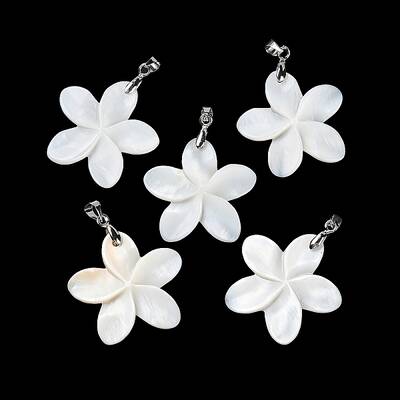 Natural Freshwater Shell Pendants