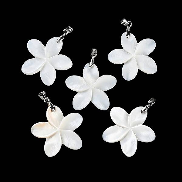 Natural Freshwater Shell Pendants