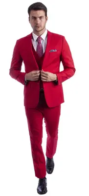 Sean Alexander Men's 3 Piece Skinny Fit Suit  Notch Lapel with Tailored Fit