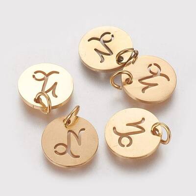 304 Stainless Steel Charms