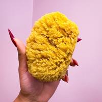 NEW CANVAS DEAD SEA SPONGE
