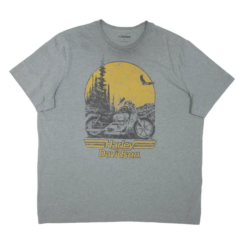 HARLEY DAVIDSON Mens T-Shirt Grey 3XL
