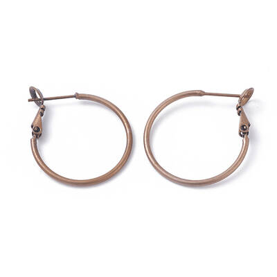 Brass Hoop Earrings
