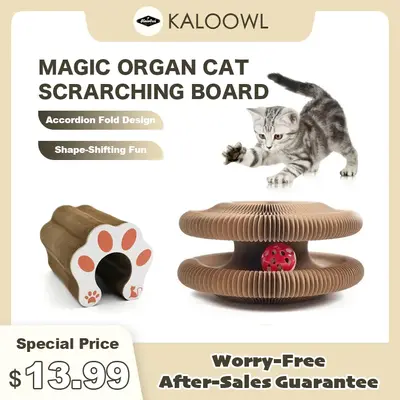 Magic Organ Cat Scratching Board, 1 Count Interactive Scratch Pad with Ball, Cat Scratcher for Grinding Claw, Furniture Prote...