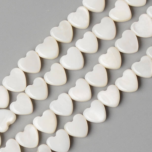 Natural Freshwater Shell Beads Strands