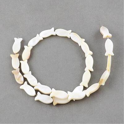 Natural Sea Shell Beads Strands