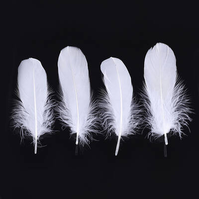 Goose Feather Costume Accessories