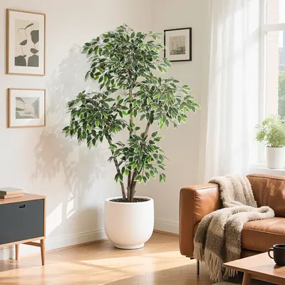 Garvee 6ft Artificial Ficus Tree, Tall Faux Floor Plant with White Tall Planter, Indoor Fake Plants with 4 Natural Trunks & W...