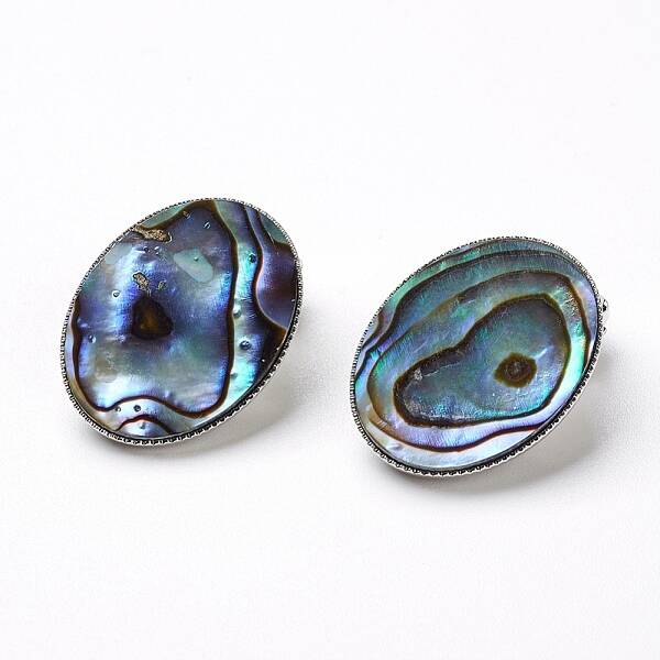 Natural Abalone Shell/Paua ShellOval Clip-on Earrings