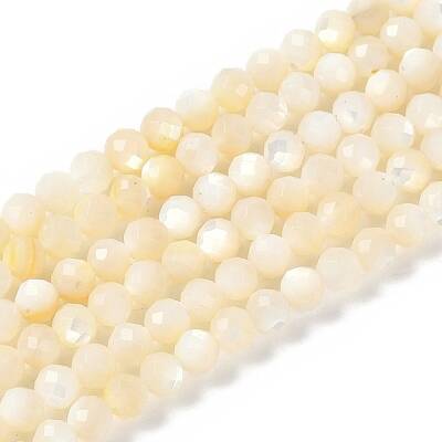 Natural White Shell Beads Strands
