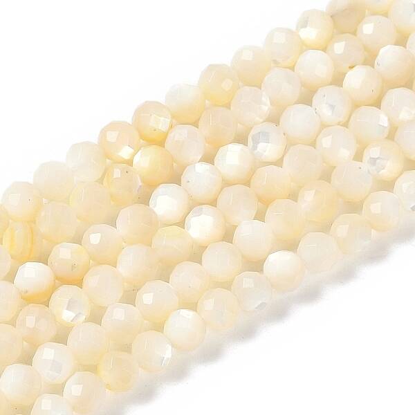 Natural White Shell Beads Strands