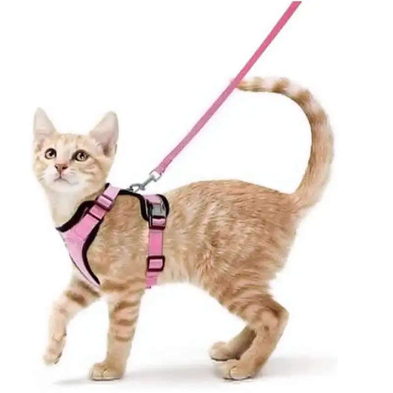 Safety Guidance Pet Vest with Side Buckle, 2pcs Adjustable Reflective Mesh Cat Harness & Solid Color Cat Lead, Pet Outdoor Su...