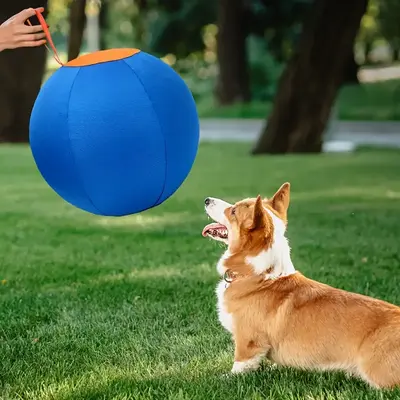 Pet dog toy inflatable balloon, complete set of dog balls, golden retriever anti bite ball, relieve boredom, tease Chai Qiqi,...