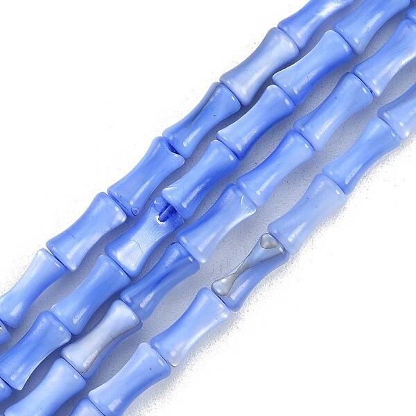 Natural Freshwater Shell Beads Strands