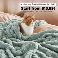 【Summer Gifts】Summer gift Bedsure Plaid Pattern Soft  A/C Blanket -1 Count Casual Soft Skin-friendly Cozy & Comfort Blank...