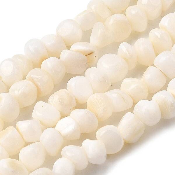 Natural Freshwater Shell Beads Strands