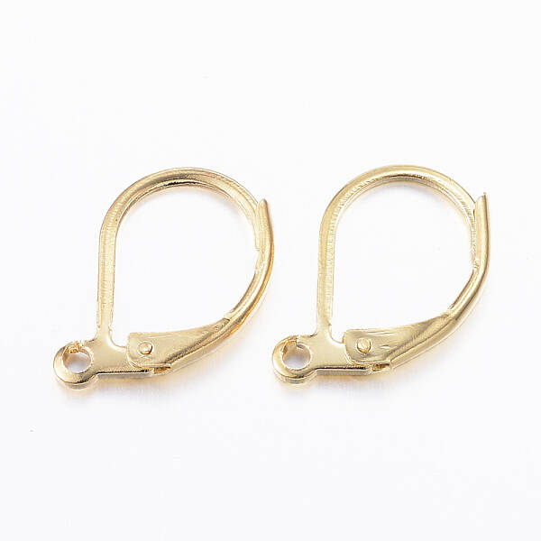 304 Stainless Steel Leverback Earring Findings