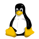 Express Linux VPS