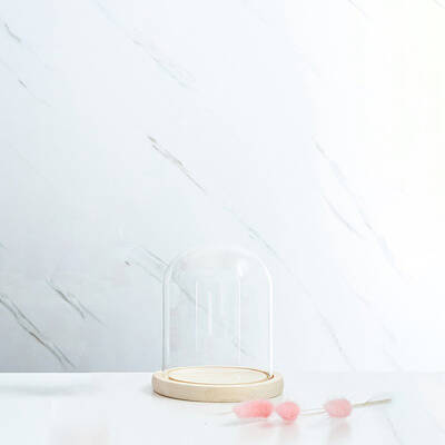 Glass Dome Cover