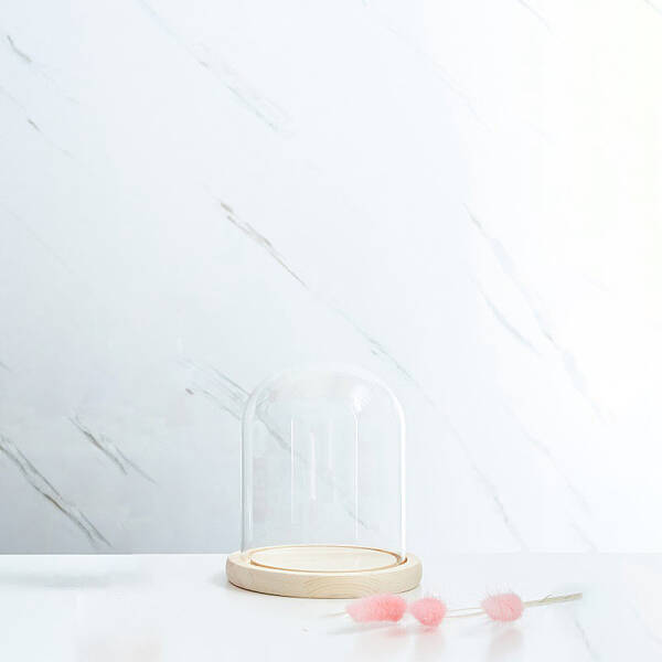 Glass Dome Cover