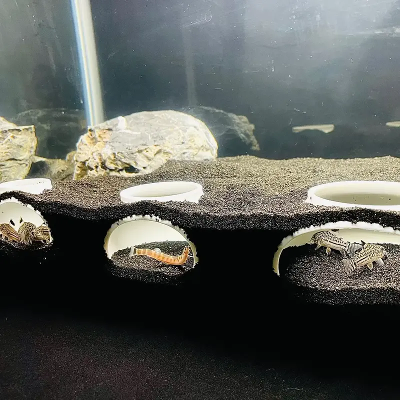 Bottom Dweller Aquarium Cave, Kuhli Loach Dojo Loach Corydoras Catfish Clown Loach Dwarf Frog Hideout, Bottom Feeder Fish Tan...