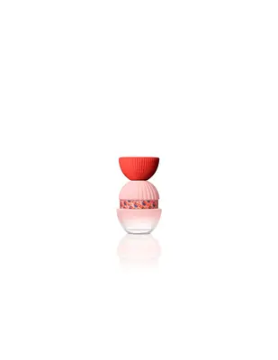 El Ganso Fun and Chic Eau de parfum for women 100 Spray