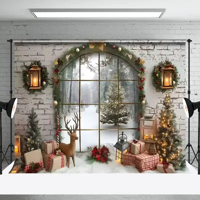 Aperturee Arched Window Gift Box Winter Christmas Backdrop