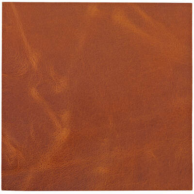 Leather Fabric