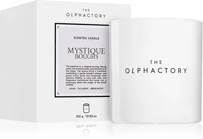 Ambientair The Olphactory White Insignia Mystique Boughs scented candle 310 g