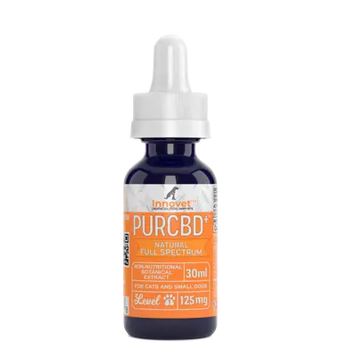 CBD Oil for Cats