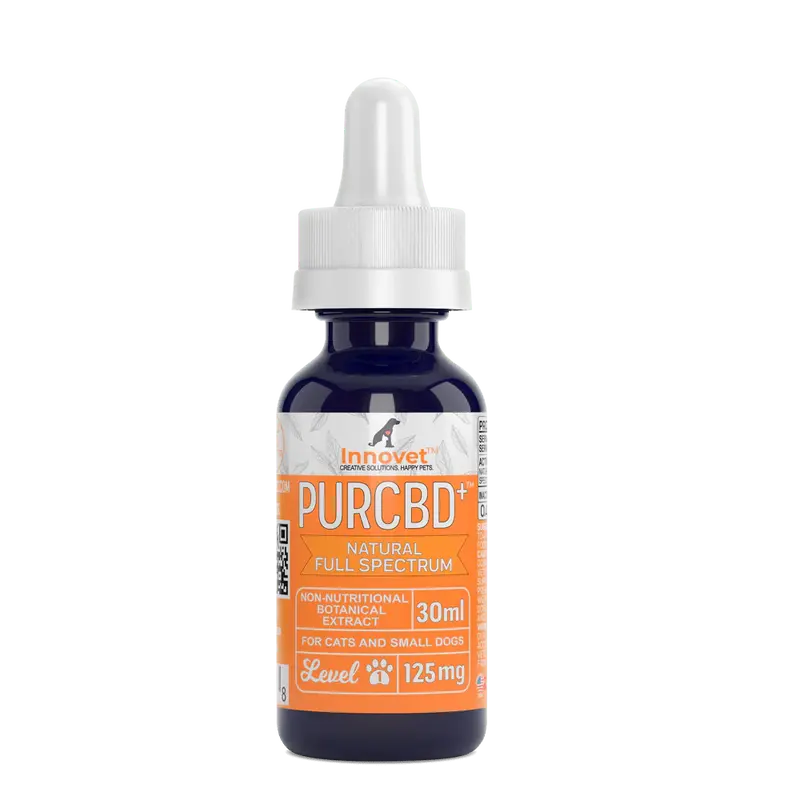CBD Oil for Cats