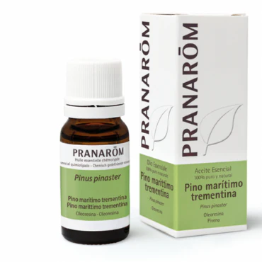 Pranarôm Essential Oils Maritime Pine Essential Oil Organic Oleoresin 10ml