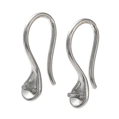 Non-Tarnish 304 Stainless Steel Earring Hooks