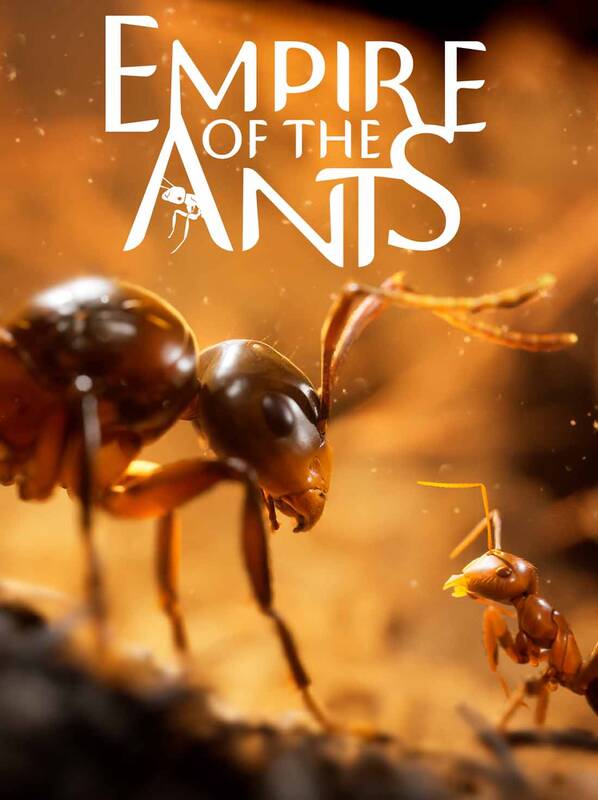Empire of the Ants Steam Account | Steam