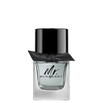 Burberry Mr. Burberry Eau De Toilette for men 50 ml