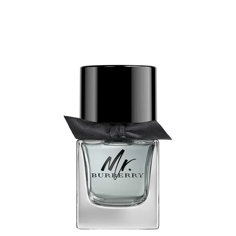 Burberry Mr. Burberry Eau De Toilette for men 50 ml