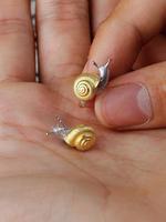 Cute Snail Design Stud Earrings, Pretty Studs, Fashionable Jewelry for Women & Girls, Trendy All-match & Exquisite Jewelry fo...