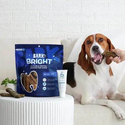 BARK Bright Durable Dental Kit with Toothpaste- Fresh breath and clean teeth in 1 month (15 count)