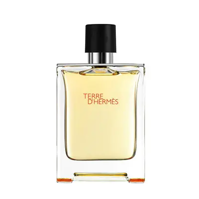 Hermes Terre D'HERMESE Eau De Toilette Spray 200ml